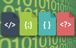 Web Developer